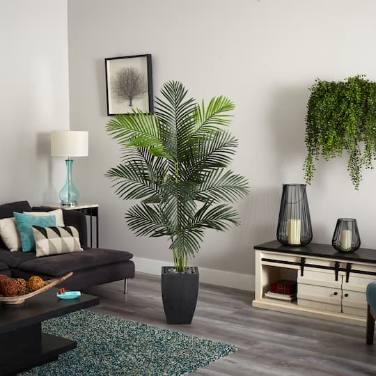5.5ft. Paradise Artificial Palm Tree in Black Planter